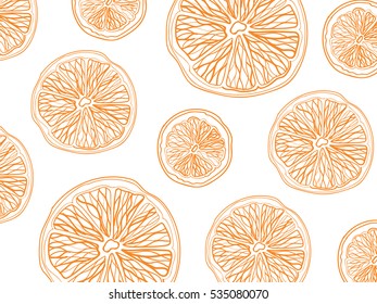 Sketch of sliced citrus fruit on white background rectangular composition