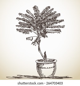 Esbozo de árbol pequeño en la olla de arcilla, ilustración del vector dibujado a mano