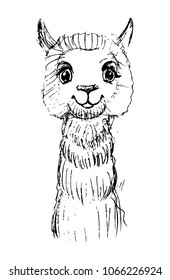 sketch of a smiling alpaca with black lines. happy alpacas