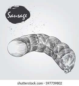 Sketch smoked boiled sausage on white background. Hand drawn meat elements Retro style poster with cow banner vector illustration. Use for butcher shop, livestock farm.