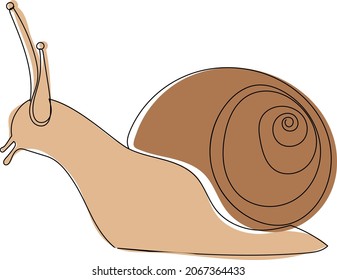 sketch snail line drawing, vector