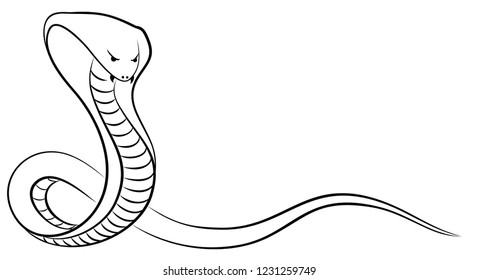 Sketch of a snake. 
