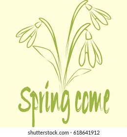 Sketch of the snowdrop flowers with the inscription spring come