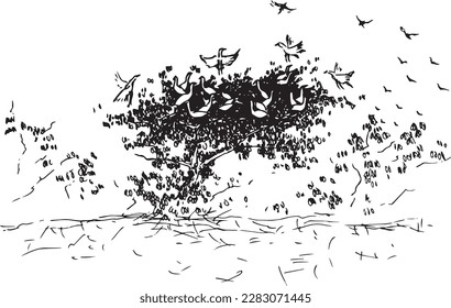 Sketch of some birds waking up from their nest