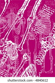 sketch of some bones, vector pink