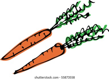 sketch of some carrots