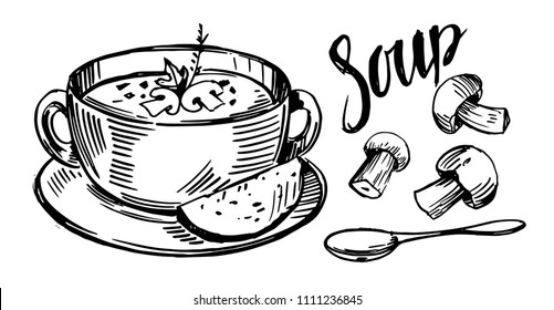 Sketch soup and mushrooms  Vector