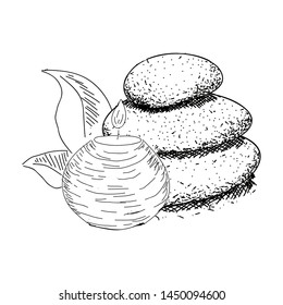 Sketch of spa objects. Pile of stones, candle and leaves - Vector