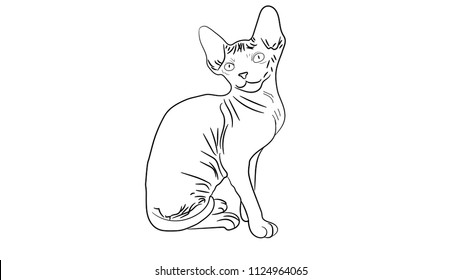 sketch of a sphinx cat, isolated, on a white background