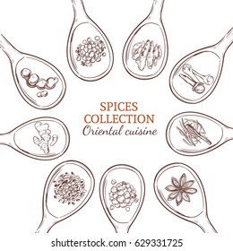 Sketch spices and herbs round concept with food seasonings and condiments on spoons isolated vector illustration