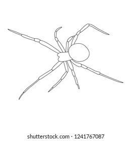 Sketch Spider Contour Stock Vector (Royalty Free) 1241767087 | Shutterstock