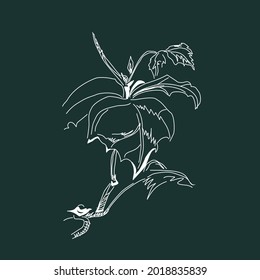 A sketch of a sprig of wild grapes. Drawing with white lines on a dark green background