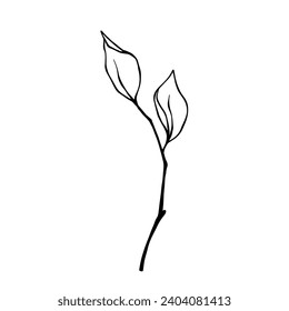 Sketch of a spring branch with shoots.Vector graphics.