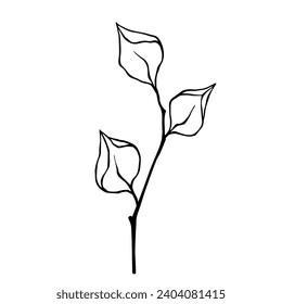 Sketch of a spring branch with shoots.Vector graphics.