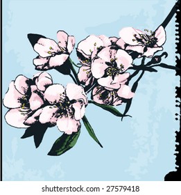 sketch of spring flowers