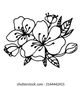 Sketch of spring flowers of quince, almond, apple tree branches with buds and flowers. Hand draw botanical doodle vector illustration in black contrast with white fill.