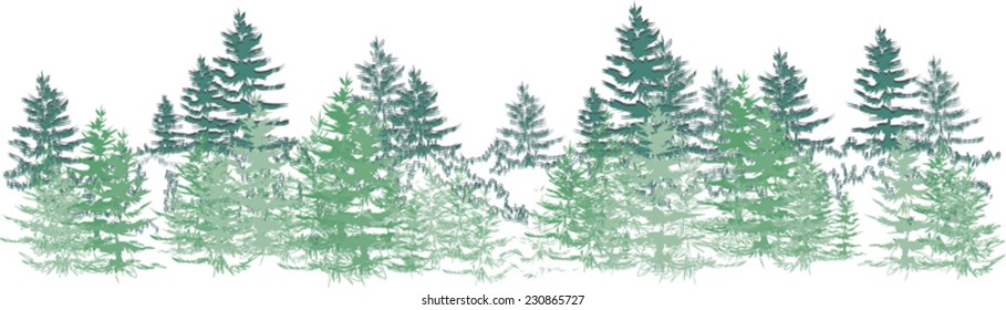 Sketch spruce