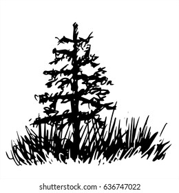 Sketch of spruce with grass. Black and white hand drawn vector illustration. 