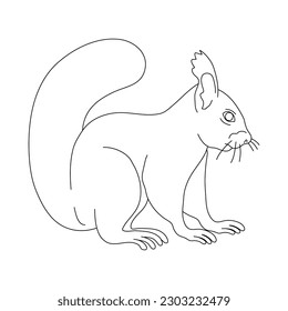 Sketch of Squirrel drawn by hand. Vector hand drawn illustration.