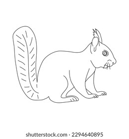 Sketch of Squirrel. Hand drawn vector illustration.