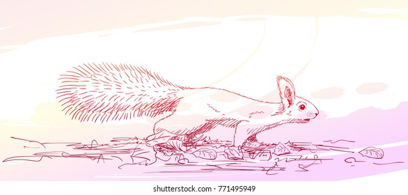 Sketch of squirrel standing on four legs and sniffing, Hand drawn vector illustration on abstract watercolor background