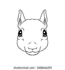 Sketch of squirrels head, portrait of forest animal black and white hand drawn vector Illustration