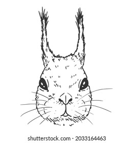 Sketch Squirrels Head. Vector Illustration on White Background