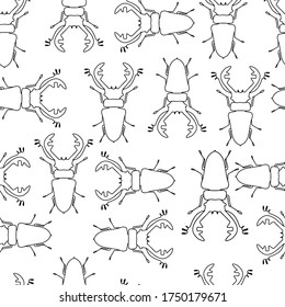Sketch stag beetles seamless pattern. Hand drawn sketch in vintage engraving style. Insect vector illustration.