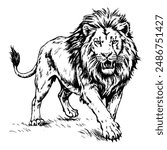 Sketch of a standing lion, side view, on a white background