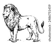 Sketch of a standing lion, side view, on a white background