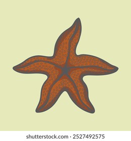 
Sketch of starfish. Underwater fauna and sea animals. Hand drawn vintage style. Isolated on white background.
