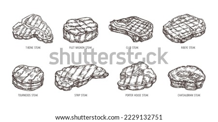 Sketch steak. Hand drawn beef food, engraving bbq meat strip, club and ribeye steaks vector set. Grilled products for restaurant menu as filet mignon, porter house, chateaubrian and tournedos Сток-фото © 