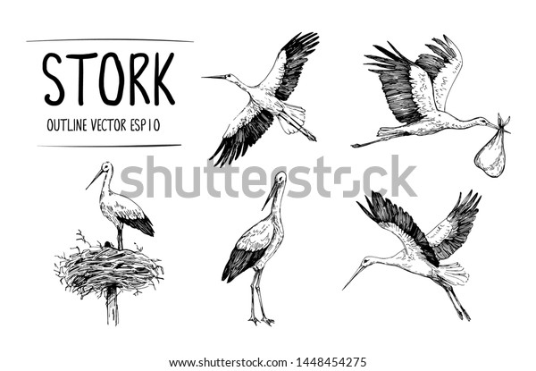 コウノトリのイラストのスケッチ 手描きのイラストをベクター画像に変換 のベクター画像素材 ロイヤリティフリー