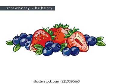 sketch strawberries and bilberries: fifteen berries and half  
on a white background, isolated vector drawing