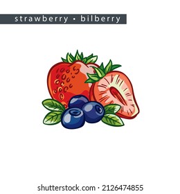 sketch strawberries and bilberries: four berrie and half  
on a white background, isolated vector drawing