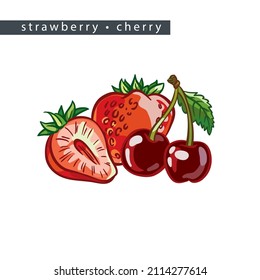 sketch strawberry and cherry: three berries and half 
on a white background, isolated vector drawing