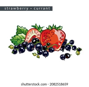 sketch strawberry and currant: whole berry, half, a branch with black berries and leaves 
on a white background, isolated vector drawing