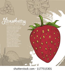 Sketch Strawberry On Design Background With Copy Space Vector Illustration