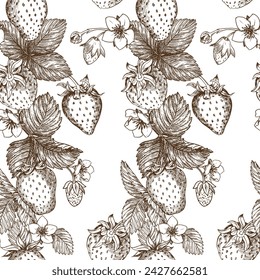 Sketch of strawberry pattern. Berries, flowers, branches and leaves on a white background. Vector, linear illustration in the style of an old engraving. Images for packaging, backgrounds, wallpapers.