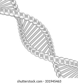 Sketch Structure Dna Stock Vector (Royalty Free) 331945463 | Shutterstock