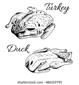 Sketch of stuffed roasted turkey and duck. Vector image for cooking, holiday meals christmas, thanksgiving , recipes, gastronomy, food, etc.