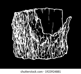 Sketch a stump in a hand-drawn tree in a realistic style. sawn tree side view bark white outline on black background isolated element for your design template