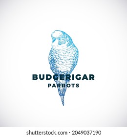 Sketch Style Abstract Vector Sign, Symbol or Logo Template. Hand Drawn Budgerigar Parrot Silhouette. Premium Quality Exotic Bird Emblem. Isolated.