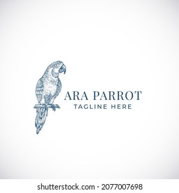 Sketch Style Abstract Vector Sign, Symbol o Logo Template. Silhouette Ara Parrot Hand Drawn. Emblema De Aves Exóticas De Calidad Premium. Aislado.