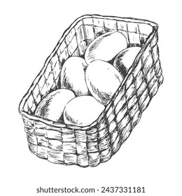 Sketch style basket of eggs. Vector Easter illustration. Hamper full of Easter eggs isolated on white background