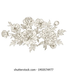 Sketch style beige and white drawing of a bouquet of peonies. Vector illustration