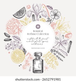 Modelo de cartão botânico estilo esboço. Vintage perfume e design de quadro cosmético. Ilustração vetorial desenhada à mão. Plantas aromáticas e esboços de flores. NÃO gerado AI