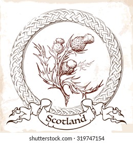 Sketch style Caledonian thistle in a Celtic decorative border. Traditional symbol of Scotland. Eps10 vector illustration.