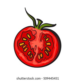 Sketch style drawing of ripe red half tomato, vector illustration isolated on white background. Half of ripe tomato, side view, hand drawn illustration