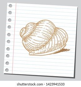 Sketch style drawing of a snail shell.